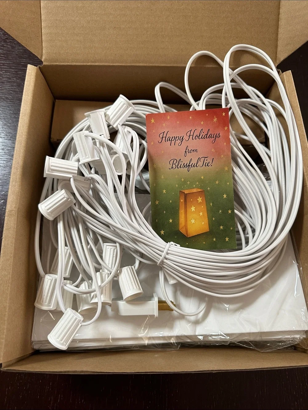 Set of 20 waterproof, reusable electric luminarias